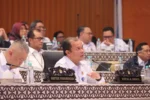 BMKG memaparkan analisis cuaca, angin, gelombang, dan arus laut terkait empat insiden kapal di sejumlah perairan Indonesia.