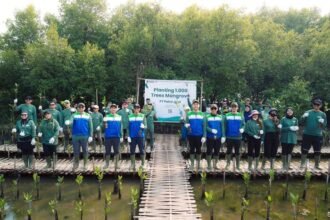 Patra Jasa menanam 1.000 bibit mangrove di pesisir Pantai KSS, Tangerang, sebagai bagian dari program TJSL dan peringatan HUT ke-51.