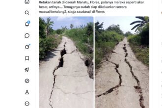 Viral Retakan Tanah Mirip Akar di Flores Pasca-Gempa M 7,7: Cek Penjelasan BMKG