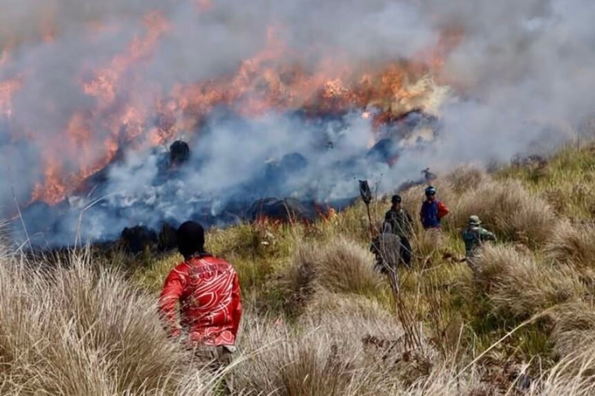 Jalur Pendakian Semeru Terbakar, 170 Pendaki Terjebak di Ranu Kumbolo, Begini Kondisinya