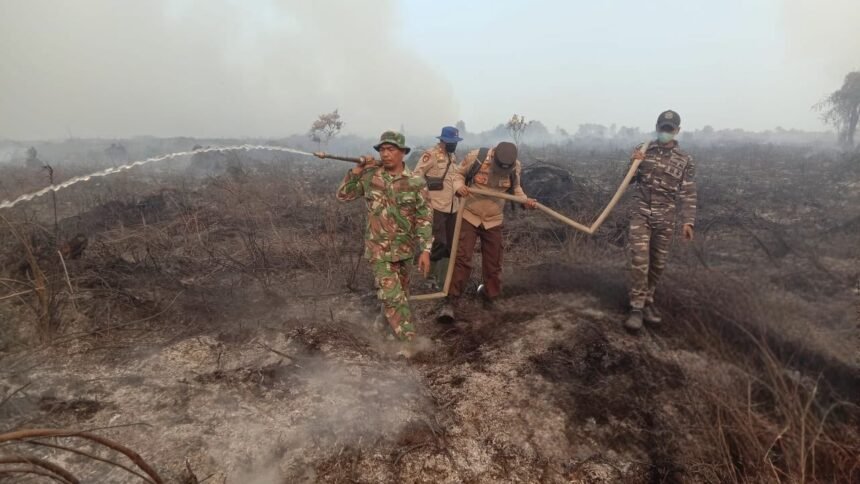 Tiga Hari Berjibaku, Tim Gabungan Padamkan Karhutla di Indragiri Hilir