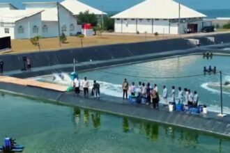 BUBK Kebumen menjadi tambak udang modern terbesar di Indonesia dengan produksi yang terus meningkat sekaligus membuka ratusan lapangan kerja bagi masyarakat sekitar.