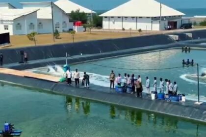 BUBK Kebumen menjadi tambak udang modern terbesar di Indonesia dengan produksi yang terus meningkat sekaligus membuka ratusan lapangan kerja bagi masyarakat sekitar.