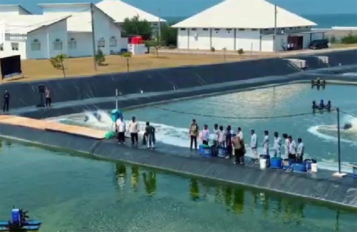 BUBK Kebumen menjadi tambak udang modern terbesar di Indonesia dengan produksi yang terus meningkat sekaligus membuka ratusan lapangan kerja bagi masyarakat sekitar.