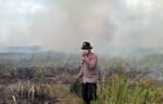 Karhutla TN Way Kambas Padam, 200 Personel Masih Siaga Cegah Api Kembali