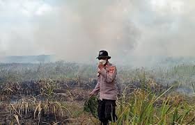 Karhutla TN Way Kambas Padam, 200 Personel Masih Siaga Cegah Api Kembali