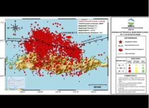 11.185 Gempa Susulan Guncang Flores, Aktivitas Seismik Bergeser ke Barat