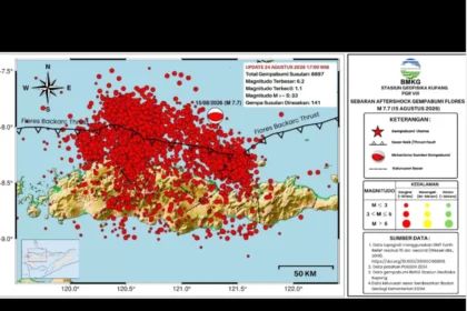 11.185 Gempa Susulan Guncang Flores, Aktivitas Seismik Bergeser ke Barat