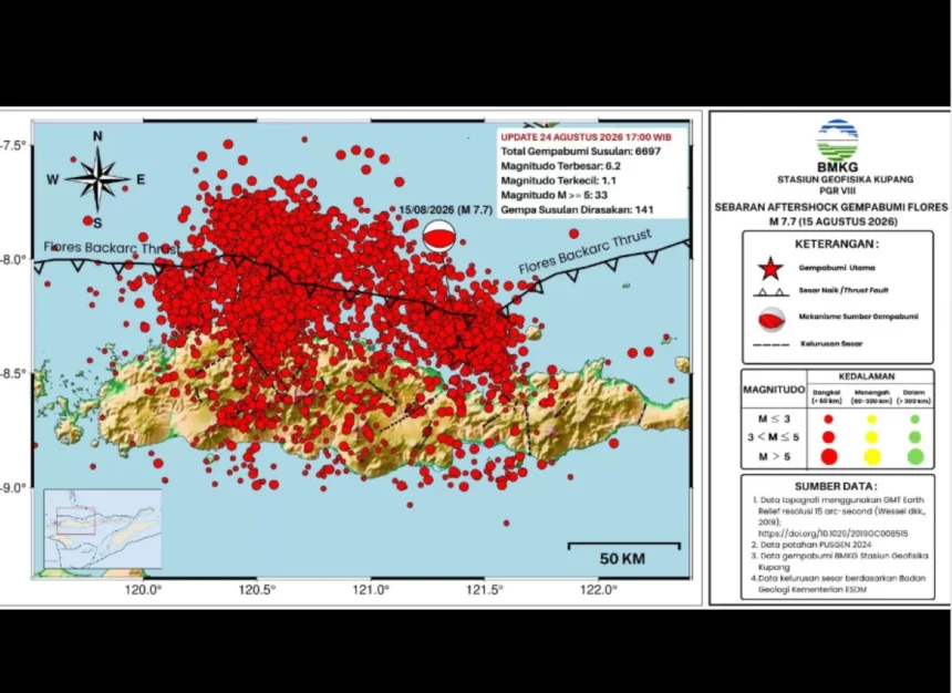 11.185 Gempa Susulan Guncang Flores, Aktivitas Seismik Bergeser ke Barat