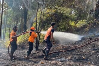 Longsor Mandailing Natal Tewaskan 3 Warga, Karhutla Meluas di Sejumlah Daerah