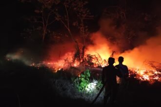 Badan Nasional Penanggulangan Bencana (BNPB)