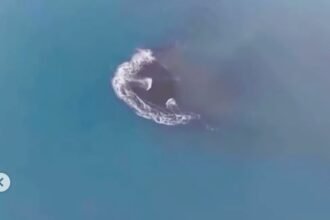 Daratan Baru 32,8 Hektare Muncul di Anak Krakatau, Pakar Ungkap Penyebabnya