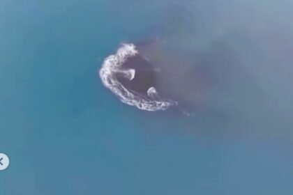Daratan Baru 32,8 Hektare Muncul di Anak Krakatau, Pakar Ungkap Penyebabnya