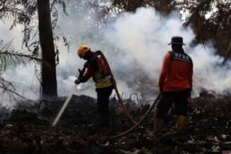 Karhutla Sumsel Sisakan 48,7 Hektare, 11 Ribu Personel Dikerahkan