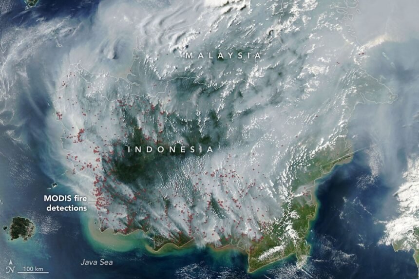 Karhutla Indonesia Terekam NASA : Kalimantan Memutih, Asap Menyeberang ke Malaysia