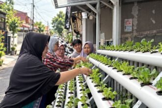 PNM Sulap Lorong Kota Menjadi Sumber Pangan Lewat Program Agro Urban Madani