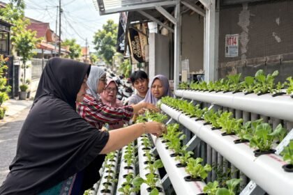 PNM Sulap Lorong Kota Menjadi Sumber Pangan Lewat Program Agro Urban Madani
