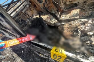 Satgas Operasi Damai Cartenz