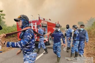 Satgas Karhutla Lanud Iskandar Tangani Kebakaran Hutan dan Lahan di Kobar
