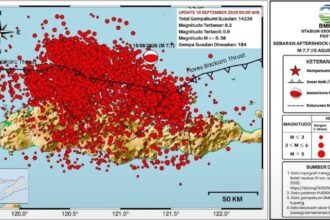 BMKG Catat 14.236 Gempa Susulan di NTT, 38 Berkekuatan di Atas M5 (Foto: BMKG)
