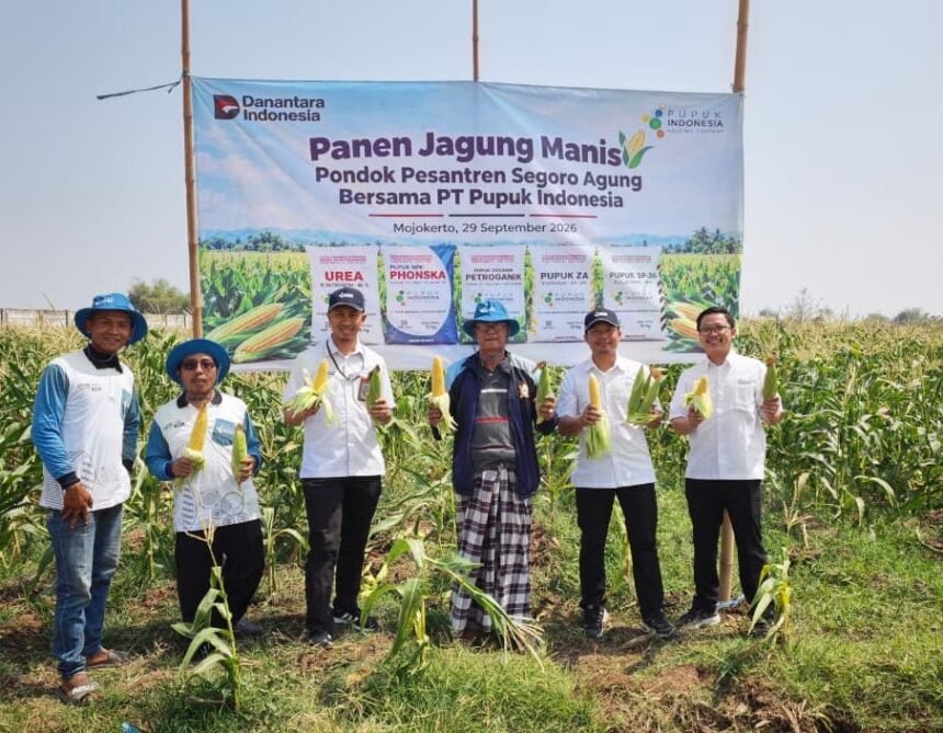 Pupuk Indonesia Panen Jagung Manis Di Lahan Ponpes Segoro Agung