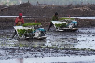 Kementerian PU Siapkan 160 Ribu Meter Kubik Air Jelang Panen Raya di Wanam