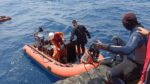 Basarnas Temukan Lagi Satu Korban KM Virgo Transport 8 di Laut Jawa, Total 13 Orang Tewas