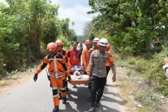Operasi SAR Gempa Flores M 7,7 Ditutup, Basarnas Alihkan Fokus ke Masa Transisi Pemulihan NTT