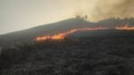 Sabana Bromo Kembali Membara, Si Jago Merah Lahap Blok Pengol Dekat Bukit Teletubbies