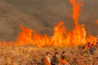 Api Hanguskan 1.120 Hektare Kawasan Bromo, Gakkum Kehutanan Kesulitan Lacak Pelaku