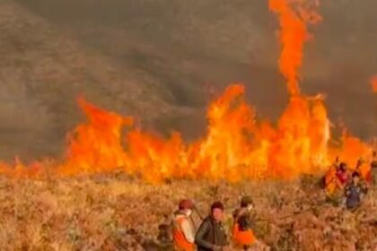 Api Hanguskan 1.120 Hektare Kawasan Bromo, Gakkum Kehutanan Kesulitan Lacak Pelaku