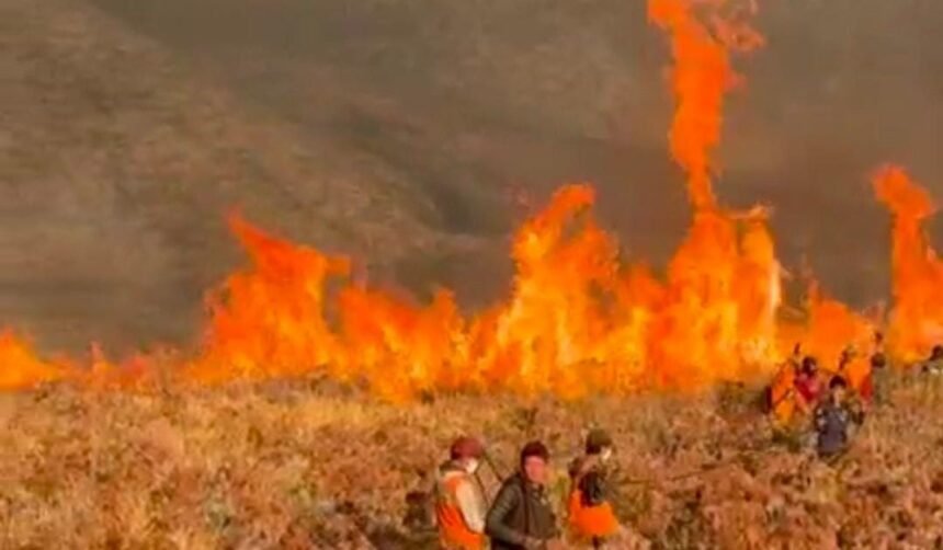 Api Hanguskan 1.120 Hektare Kawasan Bromo, Gakkum Kehutanan Kesulitan Lacak Pelaku