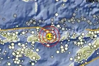 Pascagempa Flores M 7,7 Terjadi 12.209 Gempa Susulan, Diprediksi Berlangsung Hingga 4 Pekan