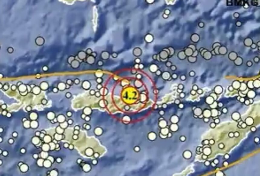 Pascagempa Flores M 7,7 Terjadi 12.209 Gempa Susulan, Diprediksi Berlangsung Hingga 4 Pekan