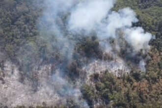 1.459 Hektare Lahan Gunung Kawi Hangus Terbakar, Petugas Long March 13 Jam Tembus Puncak Pitrang