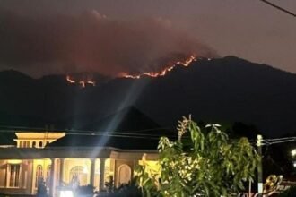 Puncak Gunung Wilis Terbakar Malam ini, BMKG Deteksi 46 Titik Panas, Api Bergerak Menuju Nganjuk