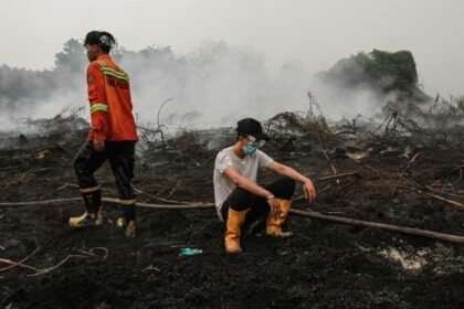 Bareskrim Sikat Pembakar Lahan: 112 Orang Ditetapkan Tersangka Karhutla dari 167 Laporan Polisi