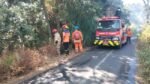Karhutla Bromo Tembus Tepi Jalan Raya Malang-Lumajang, Jalur Ngadas-Ranupane Ditutup Total