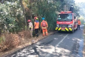 Karhutla Bromo Tembus Tepi Jalan Raya Malang-Lumajang, Jalur Ngadas-Ranupane Ditutup Total