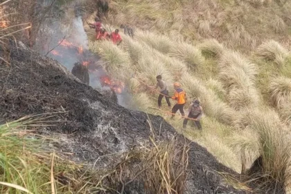 Karhutla Bromo Menjalas ke Bukit Teletubbies, Tim TRC dan Personel Gabungan Sempat Terjebak