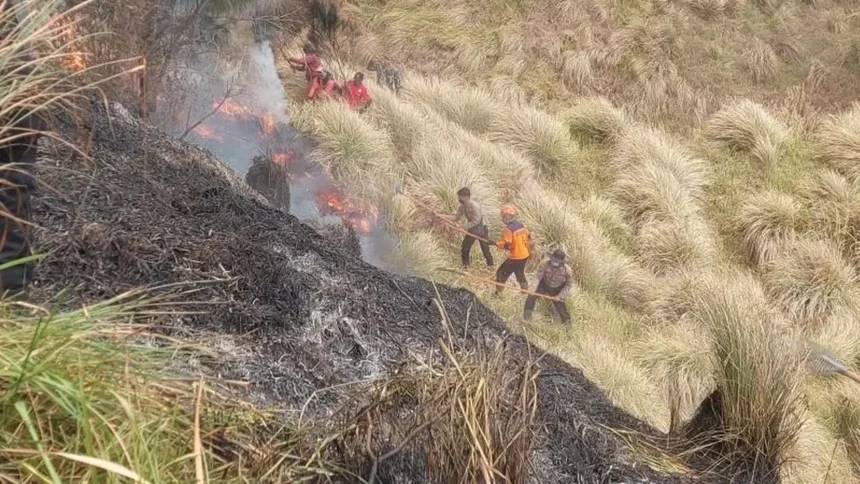 Karhutla Bromo Menjalas ke Bukit Teletubbies, Tim TRC dan Personel Gabungan Sempat Terjebak