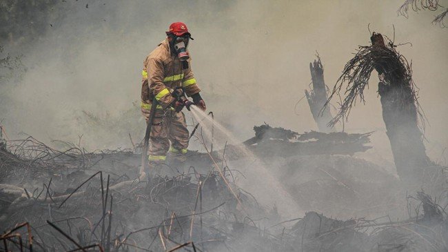 Bocah 11 Tahun Meninggal Dunia Usai Kabut Asap Puruk Cahu, Dinkes Sebut Ada Riwayat Komorbid