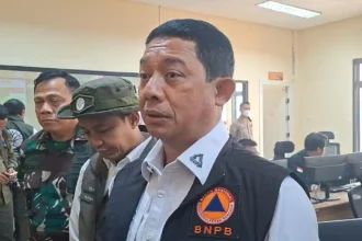 Banjir Kritik Soal Karhutla Kalimantan, Kepala BNPB Minta Maaf dan Luruskan Ucapan 'Hidup Normal'