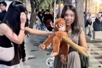 Korbannya Tak Cuma Satu, Polisi Imbau Wanita Waspadai Modus Pria Ajak Bikin Konten Boneka