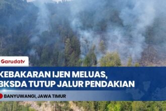 Kebakaran Hutan di Gunung Ijen Kian Meluas Dipicu Angin Kencang, Pendakian Ditutup BKSDA