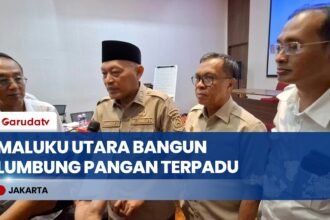 Dorong Ketahanan Pangan, Maluku Utara Siapkan Kawasan Lumbung Pangan Terpadu di Halteng