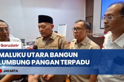 Dorong Ketahanan Pangan, Maluku Utara Siapkan Kawasan Lumbung Pangan Terpadu di Halteng