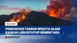 Karhutla Pegunungan Ijen Kian Meluas, 4 Titik Api Besar Sulit Dijangkau Tim Gabungan