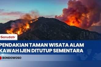 Karhutla Pegunungan Ijen Kian Meluas, 4 Titik Api Besar Sulit Dijangkau Tim Gabungan