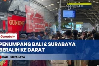 Penerbangan Bali Lumpuh Imbas Krakatau, Penumpang Beralih ke Bus AKAP & Kereta Api